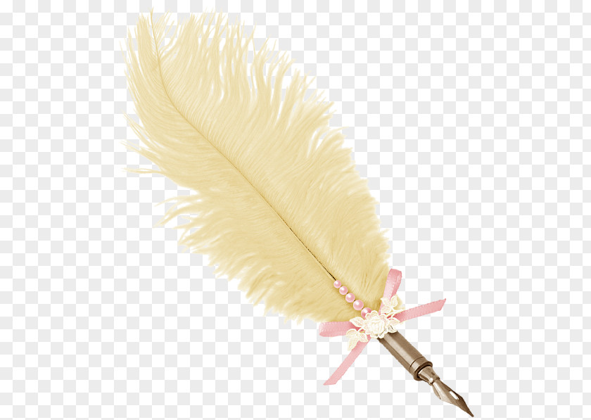 Peacock Quill Feather Reed Pen Writing Implement PNG