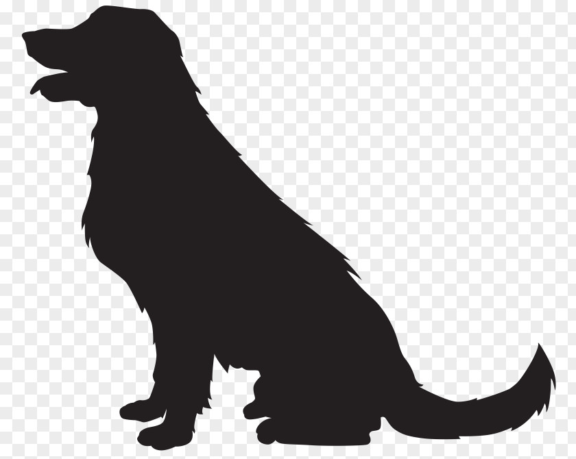Puppy Golden Retriever Labrador Clip Art PNG