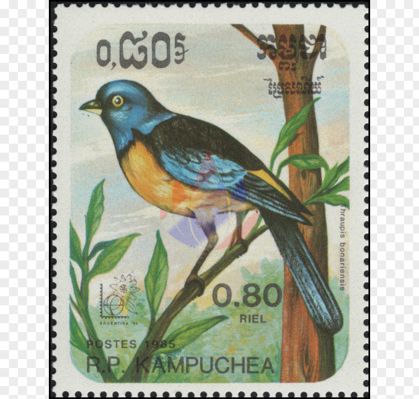 Ramphastos Toco Advertising Airmail Postage Stamps Beak PNG