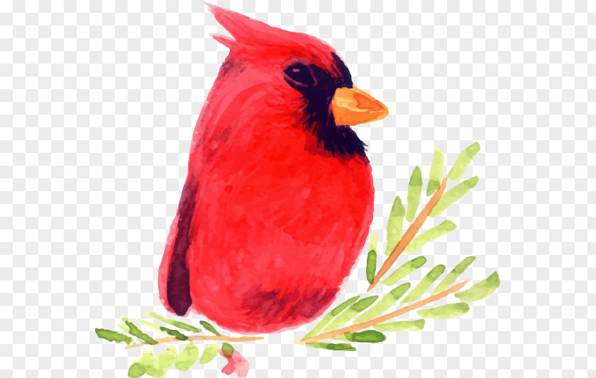 Hand-painted Christmas Cartoon Red Bird Watercolor Painting Illustration PNG