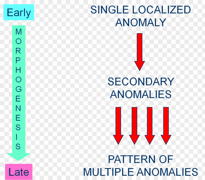 Line Organization Document Logo Angle PNG