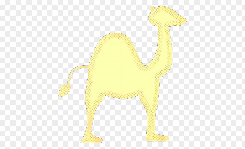 Livestock Arabian Camel Animal Cartoon PNG