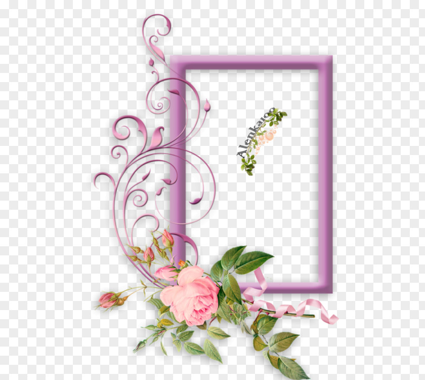 Picture Frames Photograph Image WEDDING FRAME Paper PNG