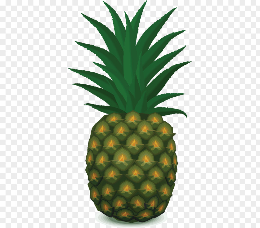 Pineapple Drawing Clip Art Vector Graphics Image PNG