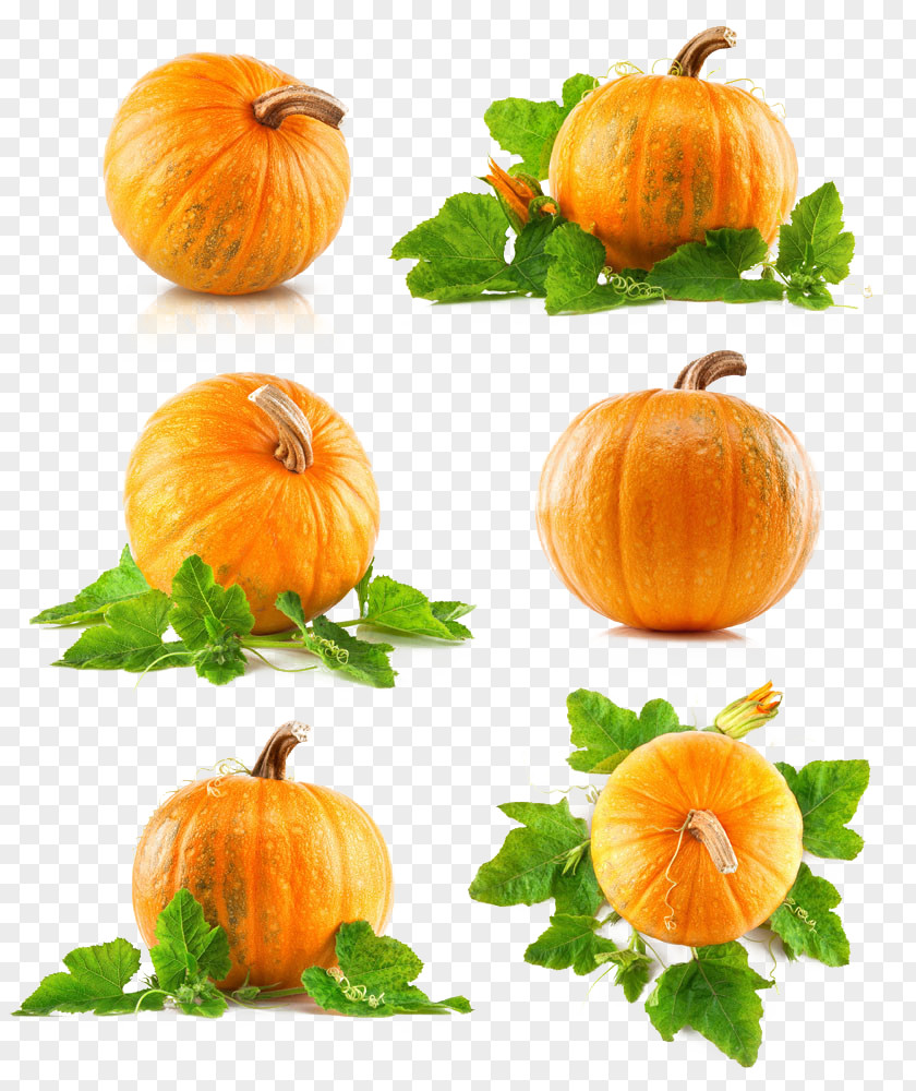 Pumpkin Green Leaf Vegetal Yellow Legume PNG