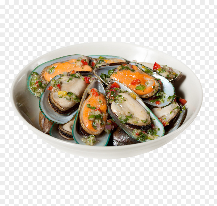 Shell Features Clam Mussel Sashimi Seafood Perna Viridis PNG