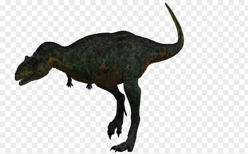 Dinosaur Creative Velociraptor Aucasaurus Tyrannosaurus Fabrosaurus Acrocanthosaurus PNG