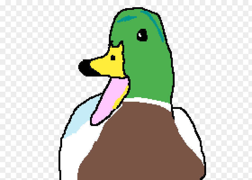 Duck Mallard Beak Cartoon Clip Art PNG