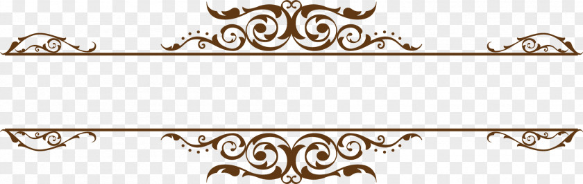 Hand Painted Brown Vine Line Common Grape PNG