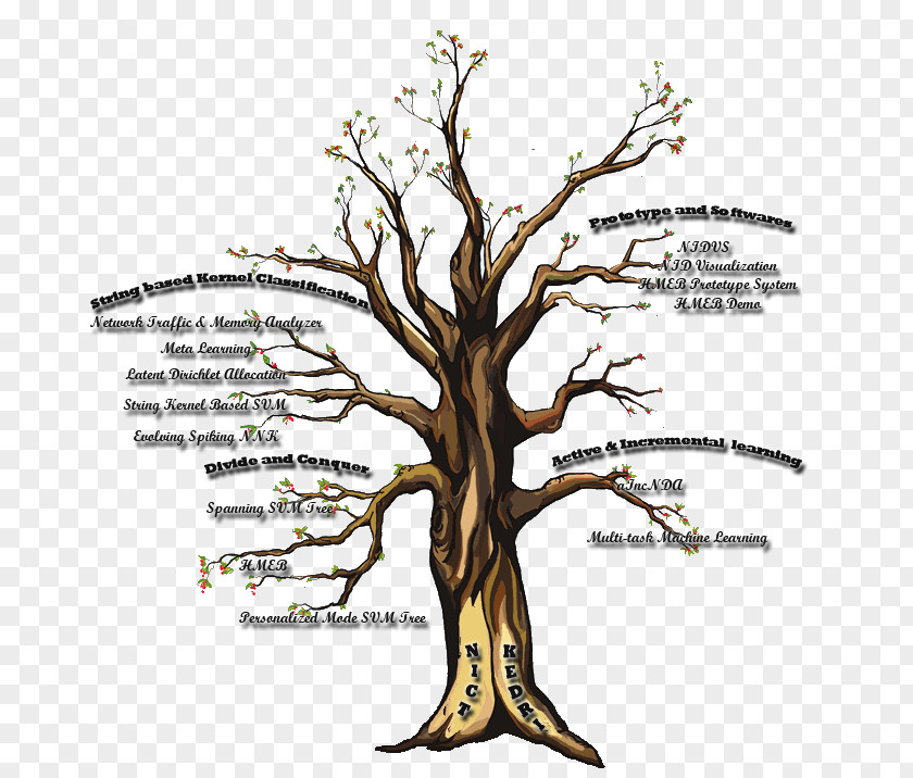 Kernel Contemplative Practices In Action Mindfulness Spiritual Practice Contemplation Tree PNG