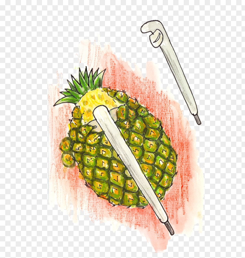 Pineapple Peeler Cutter Knife PNG