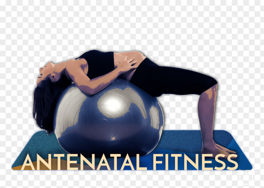 Pregnancy Fitolicious Pilates Exercise Balls PNG