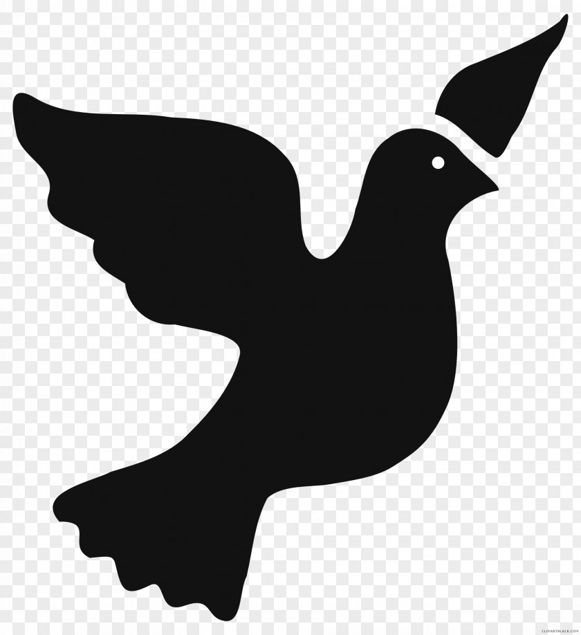 Silhouette Clip Art Pigeons And Doves Vector Graphics Image PNG