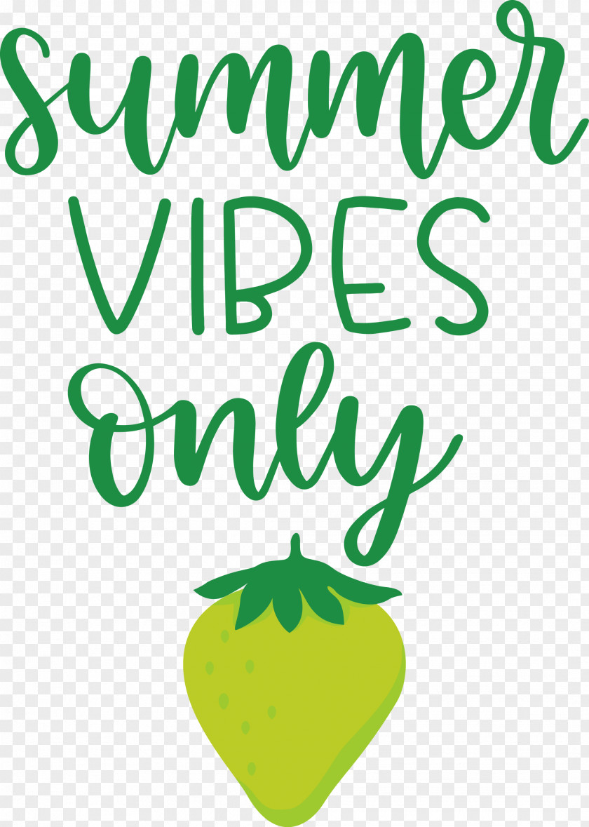 Summer Vibes Only PNG