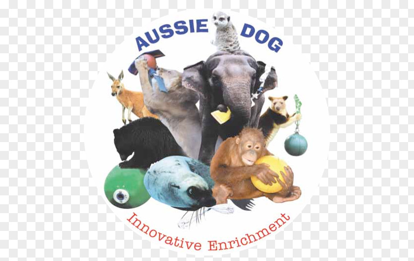 Zoozoo Behavioral Enrichment Animal Australian Shepherd Zookeeper PNG