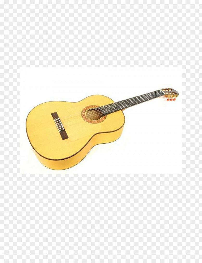 Acoustic Guitar Acoustic-electric Tiple Cavaquinho Cuatro PNG
