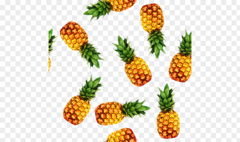 Ananas Plant Color Background PNG