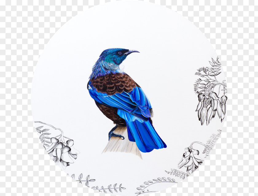 Bird Watercolor New Zealand Paper Printmaking Art PNG