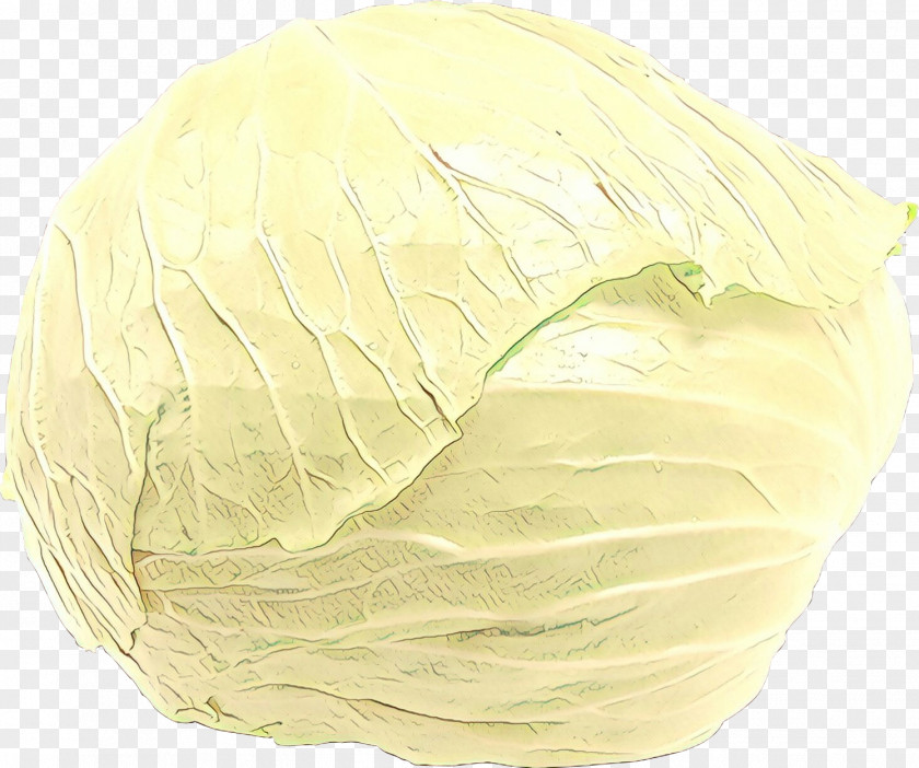 Feather Wild Cabbage PNG