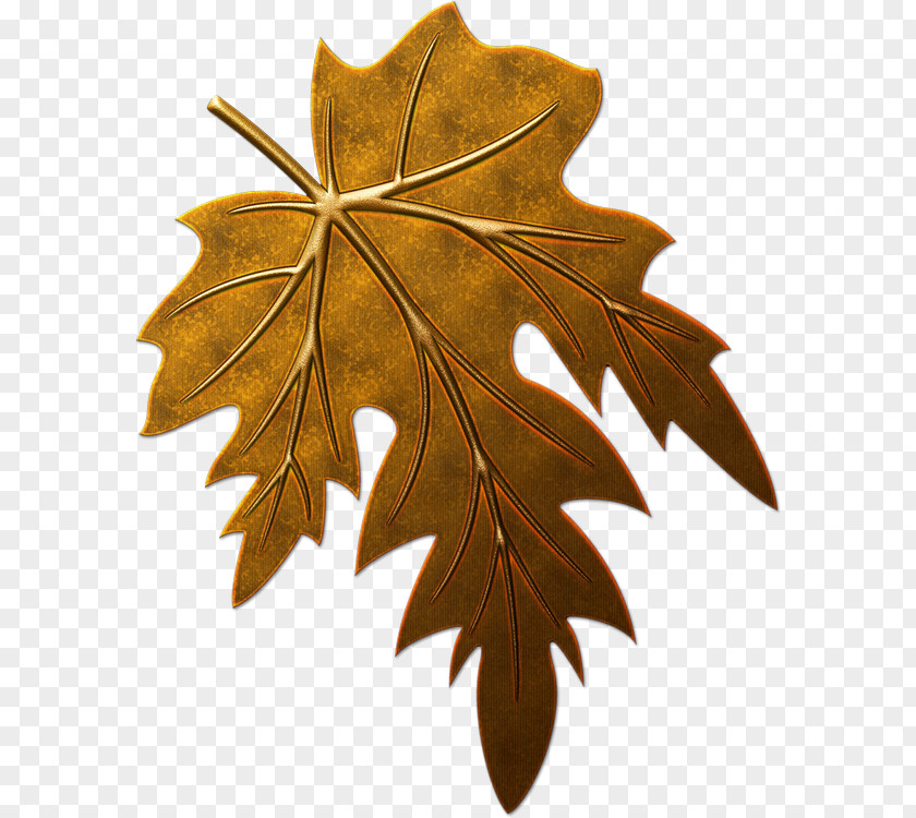 Leaf Clip Art PNG