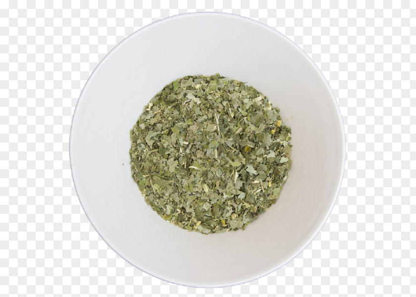 Medicinal Herbs Herb Alchemilla Vulgaris Common Sage Seasoning Vegetarian Cuisine PNG