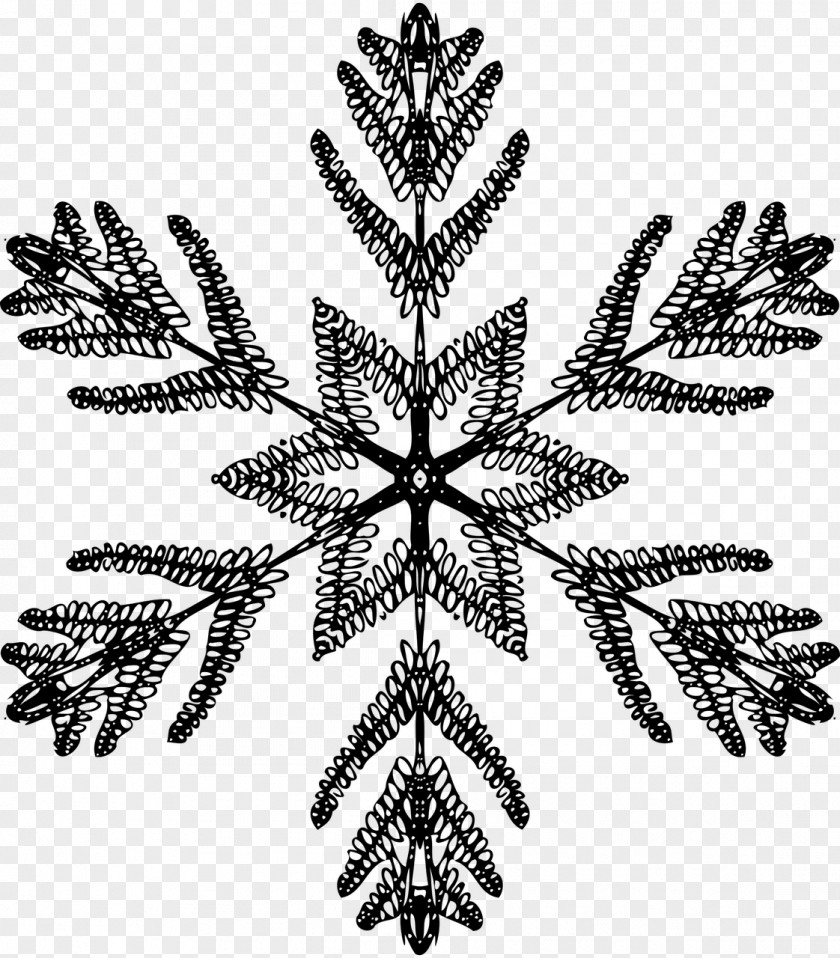 Snowflake Black And White Symmetry Photography PNG