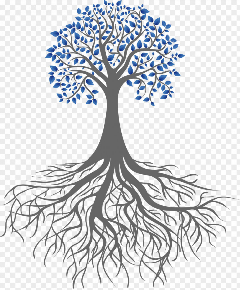 Tree Root Clip Art Branch PNG