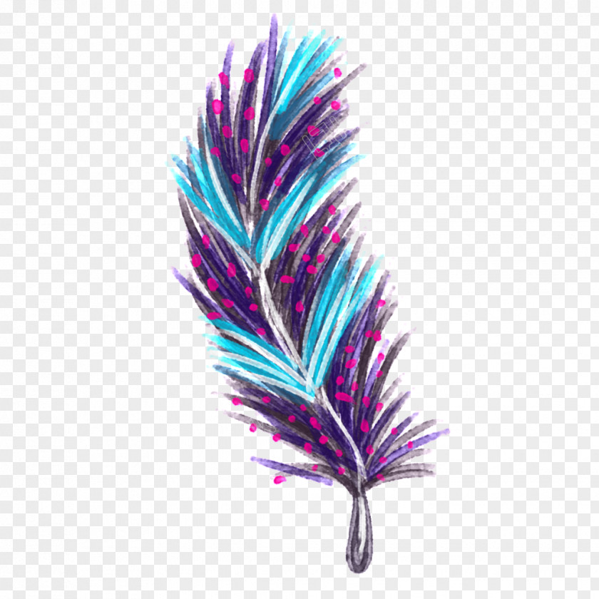 Feather Drawing Image Graphics Download PNG