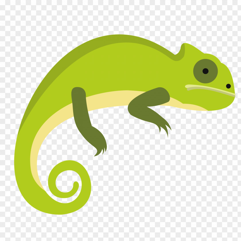 Green Chameleon Chameleons Lizard Common Iguanas Illustration PNG