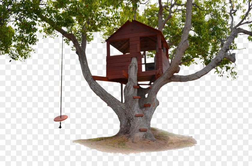 House Tree Living Room PNG