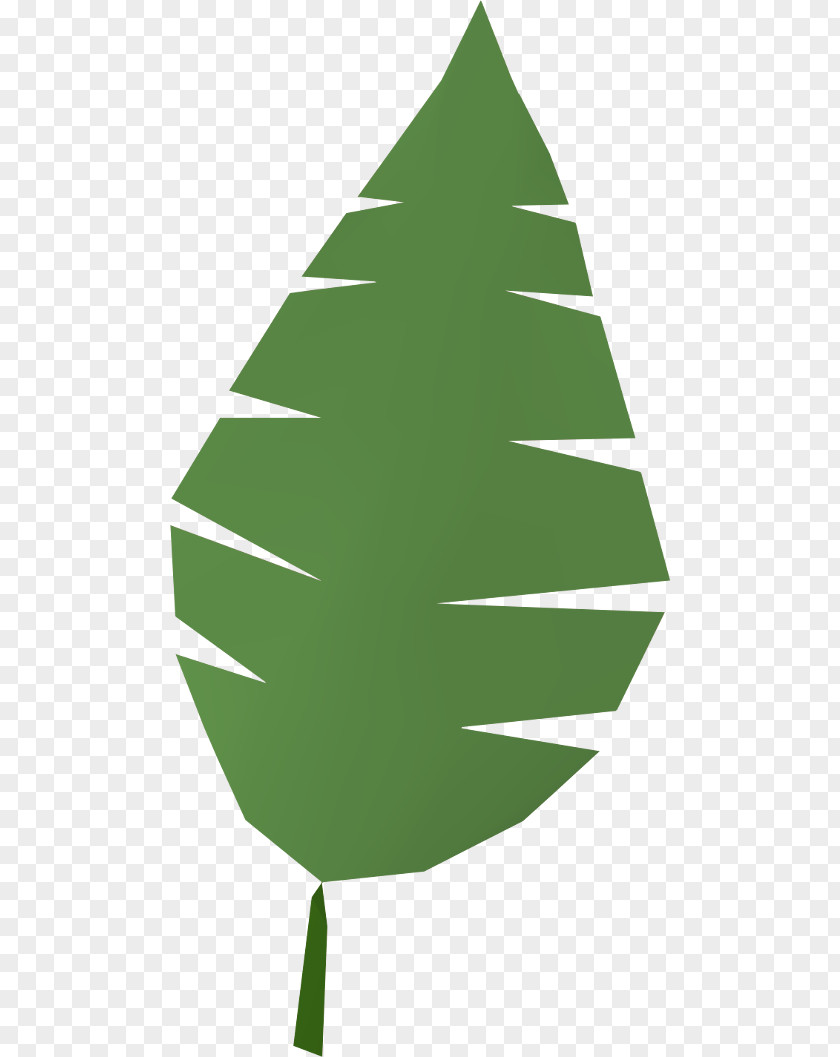 Palm Arecaceae Branch Leaf Clip Art PNG