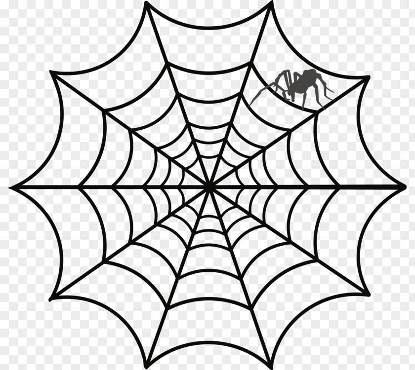 Spider Web Drawing Clip Art Spider-Man PNG