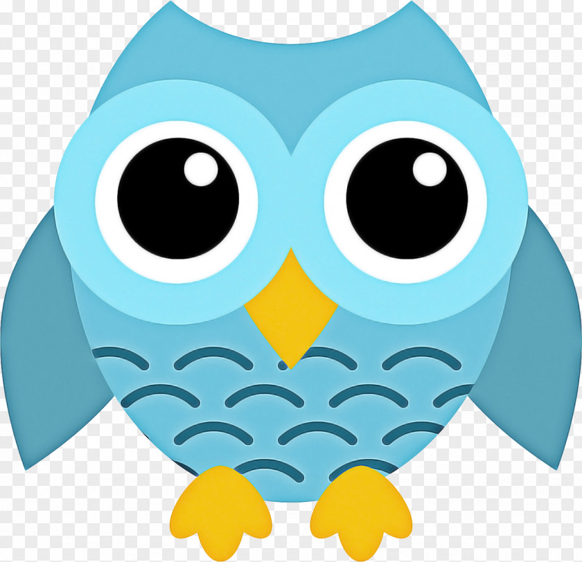 Bird Of Prey Aqua Owl Cartoon PNG