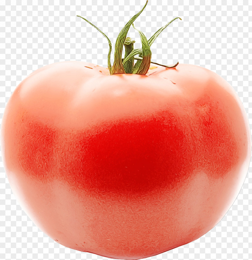 Cherry Tomatoes Superfood Tomato Cartoon PNG