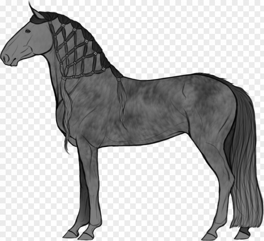 Mustang Mane Stallion Mare Pony PNG