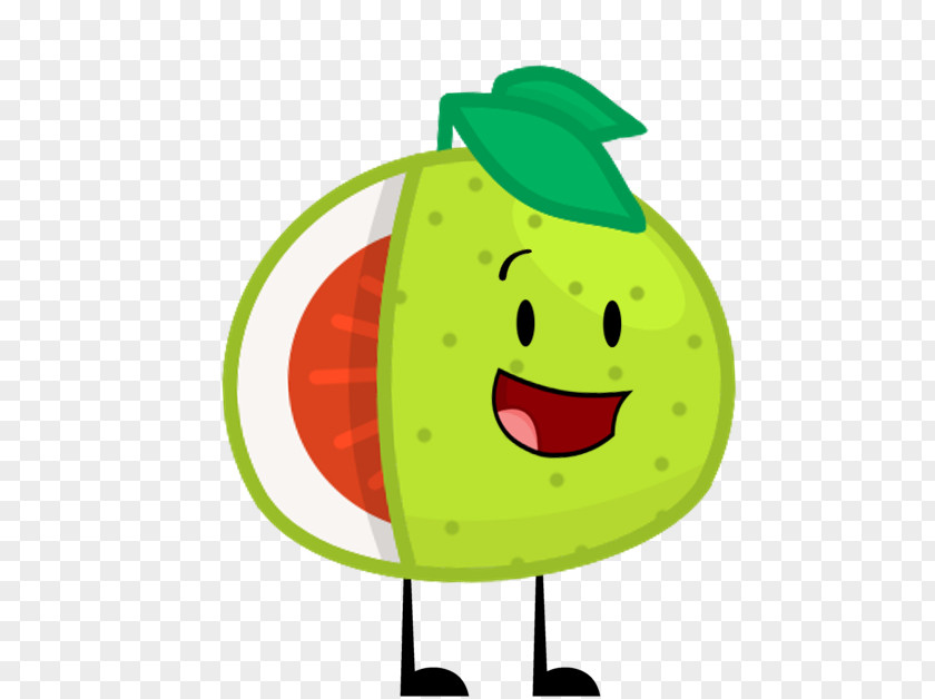 Pomelo Cartoon Drawing Clip Art PNG