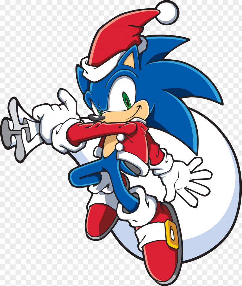 Sonic The Hedgehog Amy Rose Rouge Bat Shadow Fighters PNG
