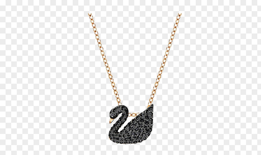 Swarovski Black Swan Necklace Earring AG Pendant Jewellery Bracelet PNG