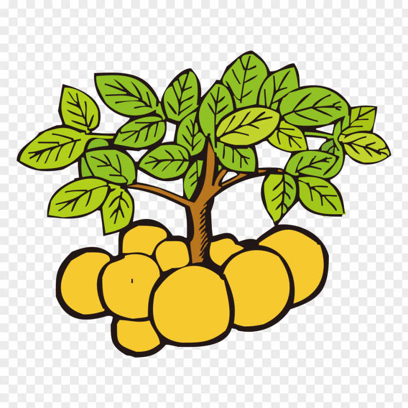 Vegetables Potato Cartoon Clip Art PNG