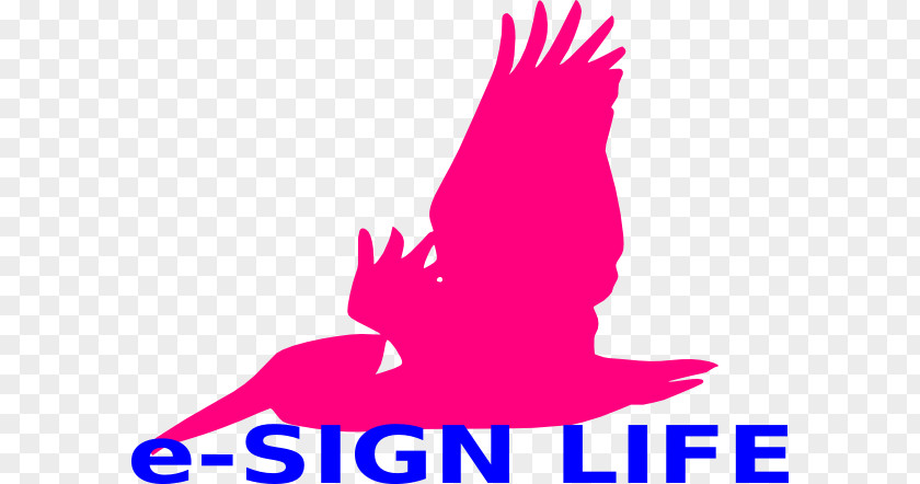 Chad Clip Art Brand Logo Line Pink M PNG