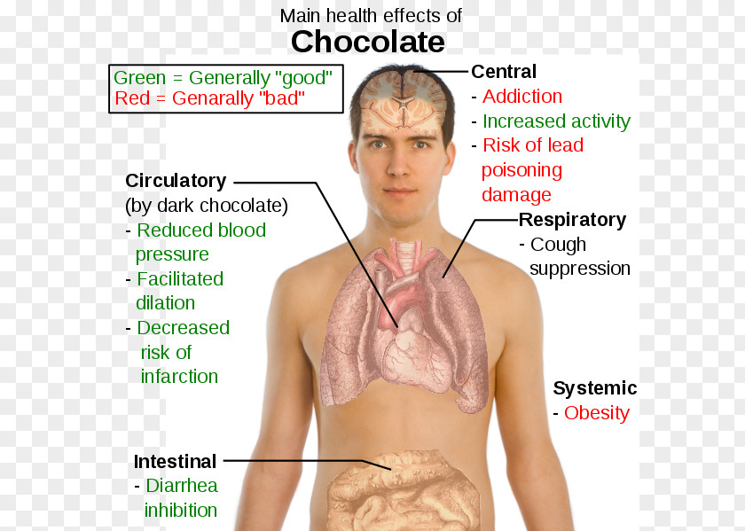Chocolate Dark Cocoa Solids Health Effects Of Bean PNG