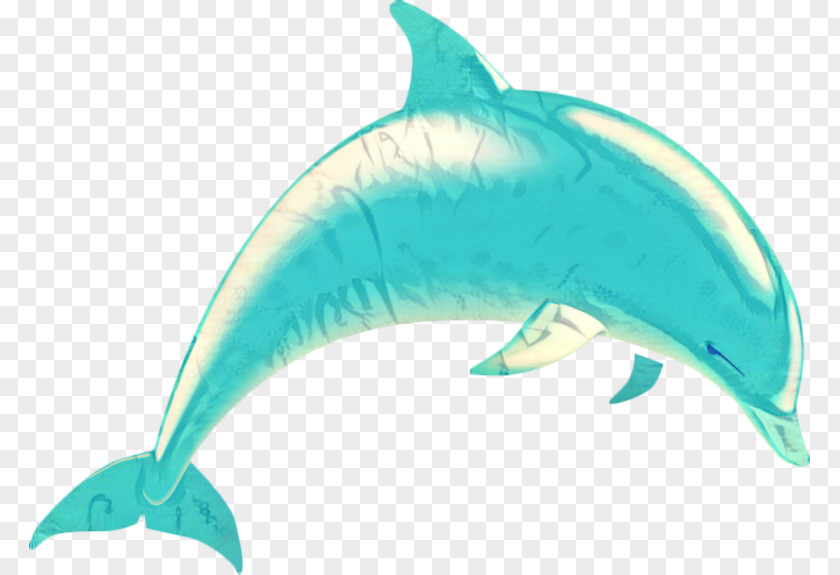 Common Bottlenose Dolphin Vector Graphics Tucuxi Short-beaked PNG