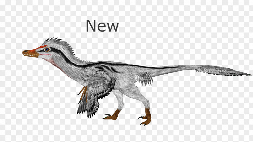 Duck Velociraptor Zoo Tycoon 2: Extinct Animals Deinonychus Tyrannosaurus PNG