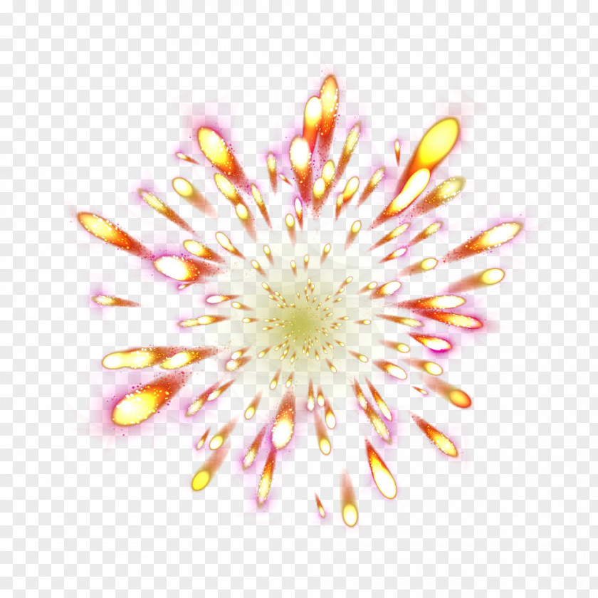 Fantasy Red Light Effect Chrysanthemum Flower Petal Close-up PNG
