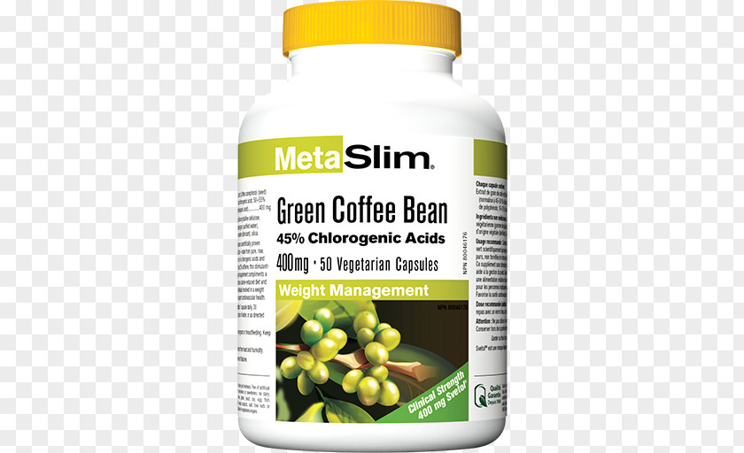 Green Tea Coffee Extract Bean PNG