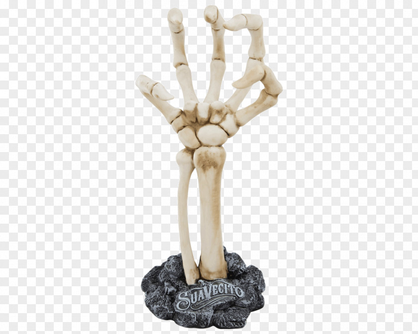 Hand Human Skeleton Anatomy Bone PNG