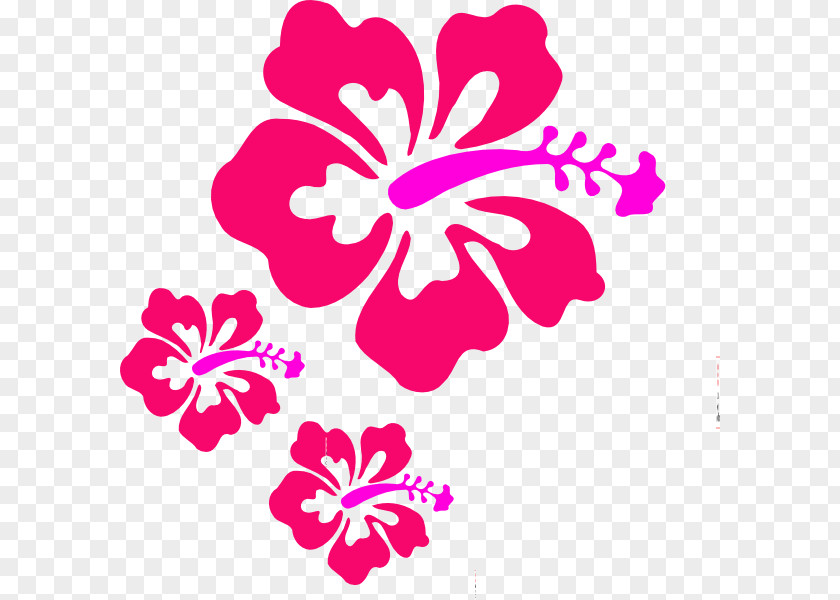 Hibiscus Hawaii Clip Art PNG