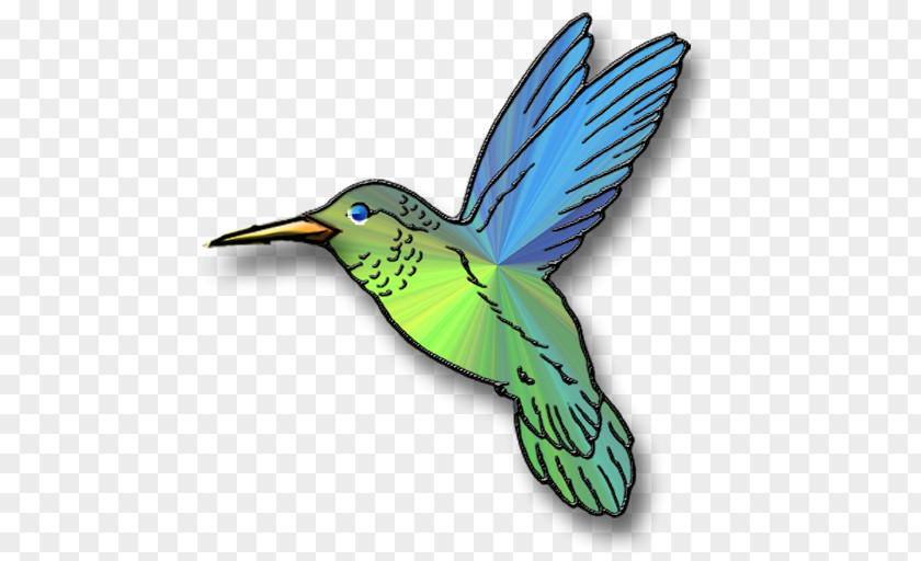 Hummingbird Cartoon Broad-tailed Clip Art PNG