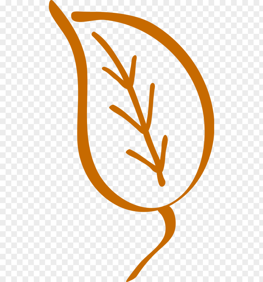 Picture Of Leaf Clip Art PNG