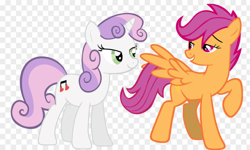 Scootaloo Sweetie Belle Rarity Rainbow Dash Equestria Daily PNG